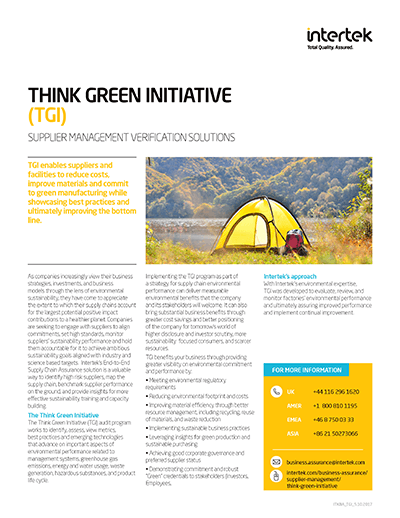 Think Green Initiative Flyer